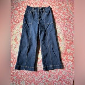 Anthropologie Pilcro and the Letterpress Skipper Wide Leg 29 dark wash jeans